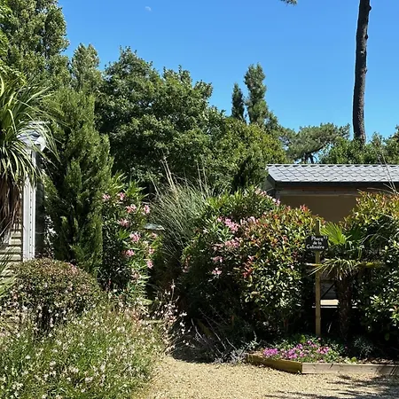 Camping Tahiti Village La Grande Cote Saint-Palais-sur-Mer