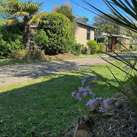 Camping Tahiti Village La Grande Cote Saint-Palais-sur-Mer