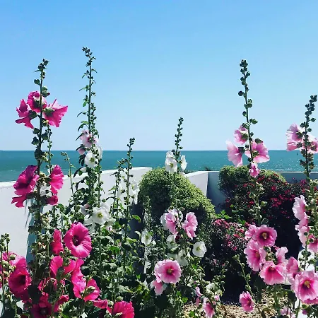 Tahiti Village La Grande Cote Kemping Saint-Palais-sur-Mer